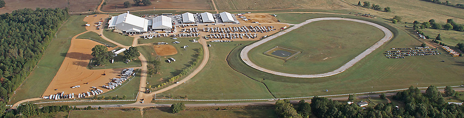 Aerial Overview
